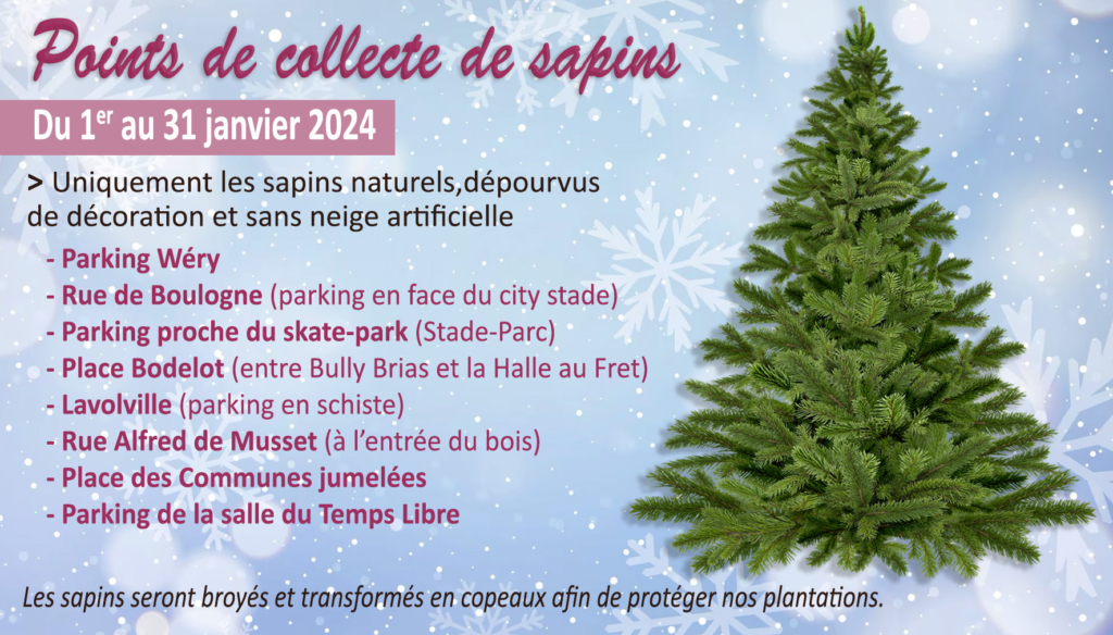 Recyclage  8 points d'apport volontaire pour valoriser votre sapin de Noël  – Ville de Bruay-La-Buissière